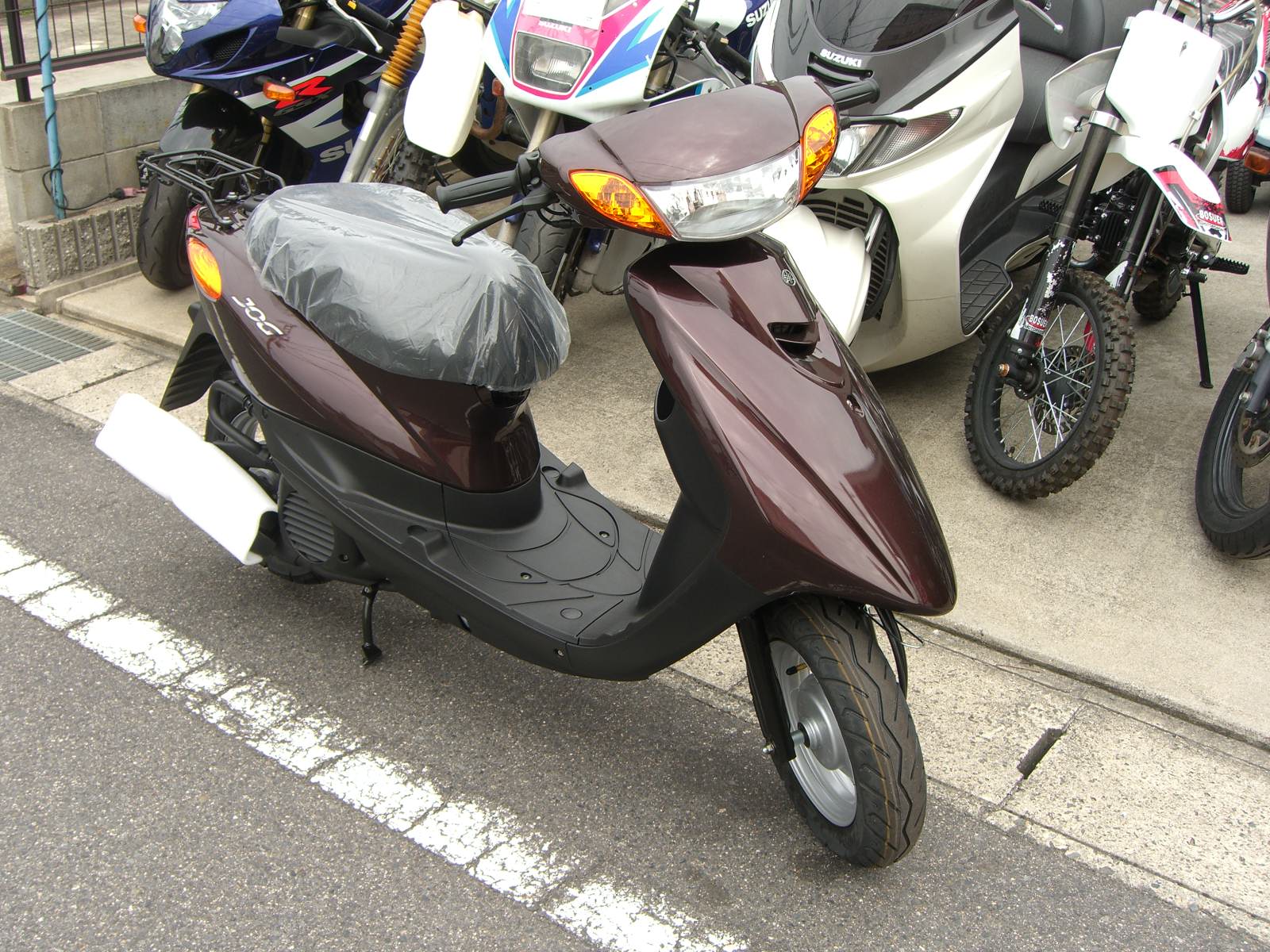 サンプル画像